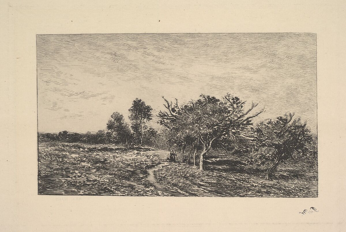 Apple Trees at Auvers, Charles-François Daubigny (French, Paris 1817–1878 Paris), Etching; after fourth state 