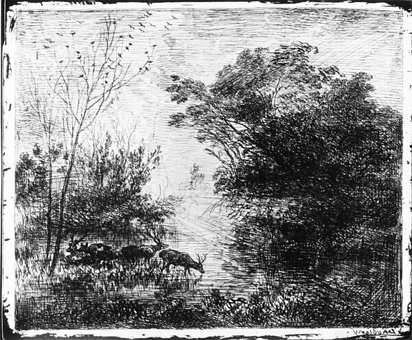 Stags, Charles-François Daubigny (French, Paris 1817–1878 Paris), Cliché-verre (ed. 1921)