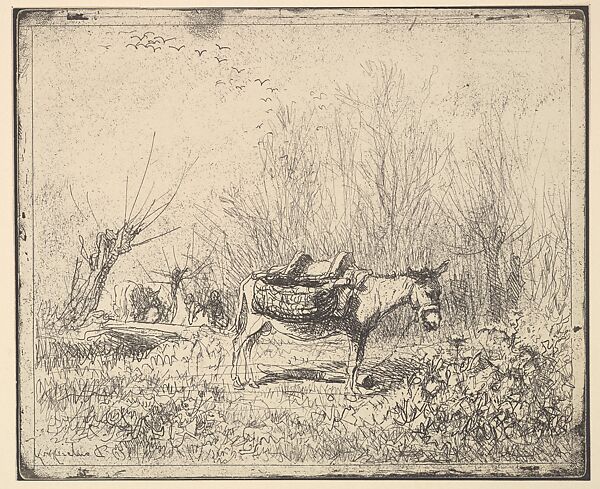 Donkey, Charles-François Daubigny (French, Paris 1817–1878 Paris), Cliché-verre (ed. 1921) 