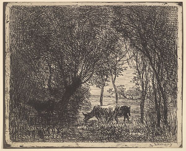 Cows in Woods, Charles-François Daubigny (French, Paris 1817–1878 Paris), Cliché-verre (ed. 1921) 