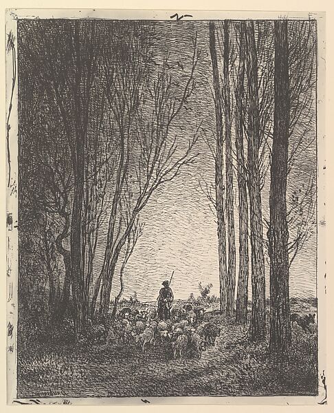 Return of the Flock, Charles-François Daubigny (French, Paris 1817–1878 Paris), Cliché-verre (ed. 1921) 