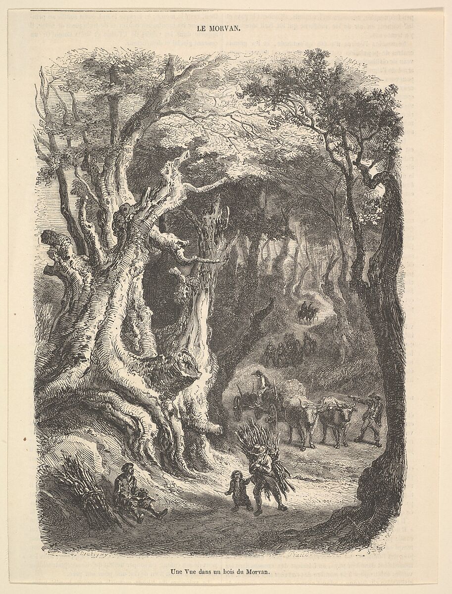 A View in the Forest of Morvan, Antoine-Alphée Piaud (French, Saint-Etienne 1813–1867), Wood engraving 