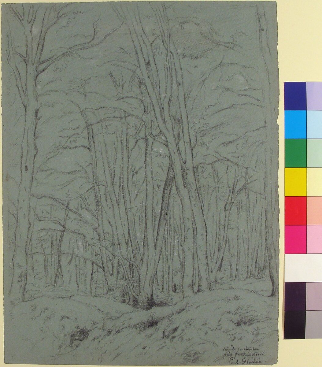 Forest View Near Fontainebleau, Paul Flandrin (French, Lyons 1811–1902 Paris), Black chalk, heightened with white on gray-green paper