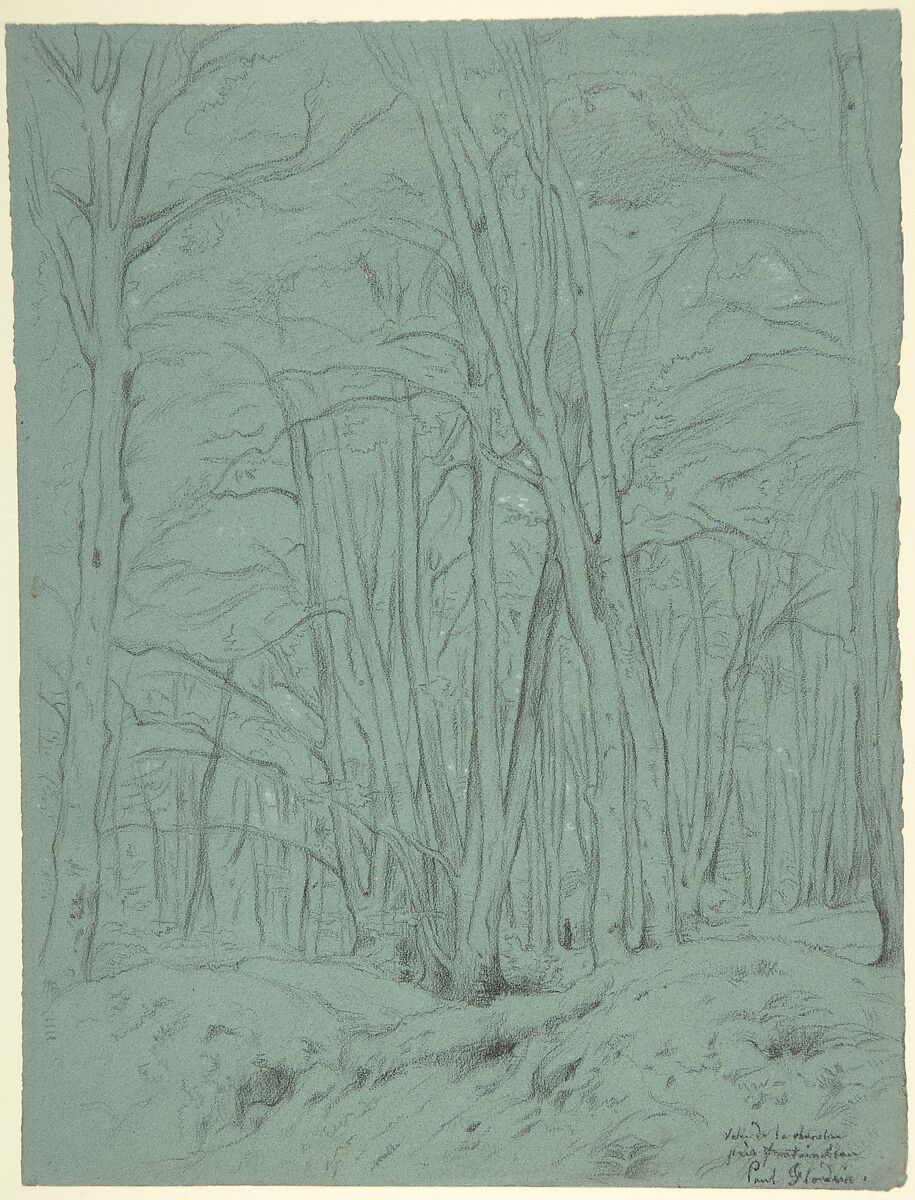 Forest View Near Fontainebleau, Paul Flandrin (French, Lyons 1811–1902 Paris), Black chalk, heightened with white on gray-green paper 