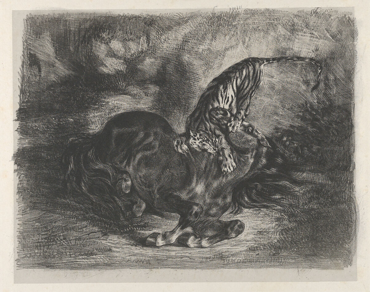 Wild Horse Felled by a Tiger, Eugène Delacroix  French, Lithograph on chine collé; first state of four