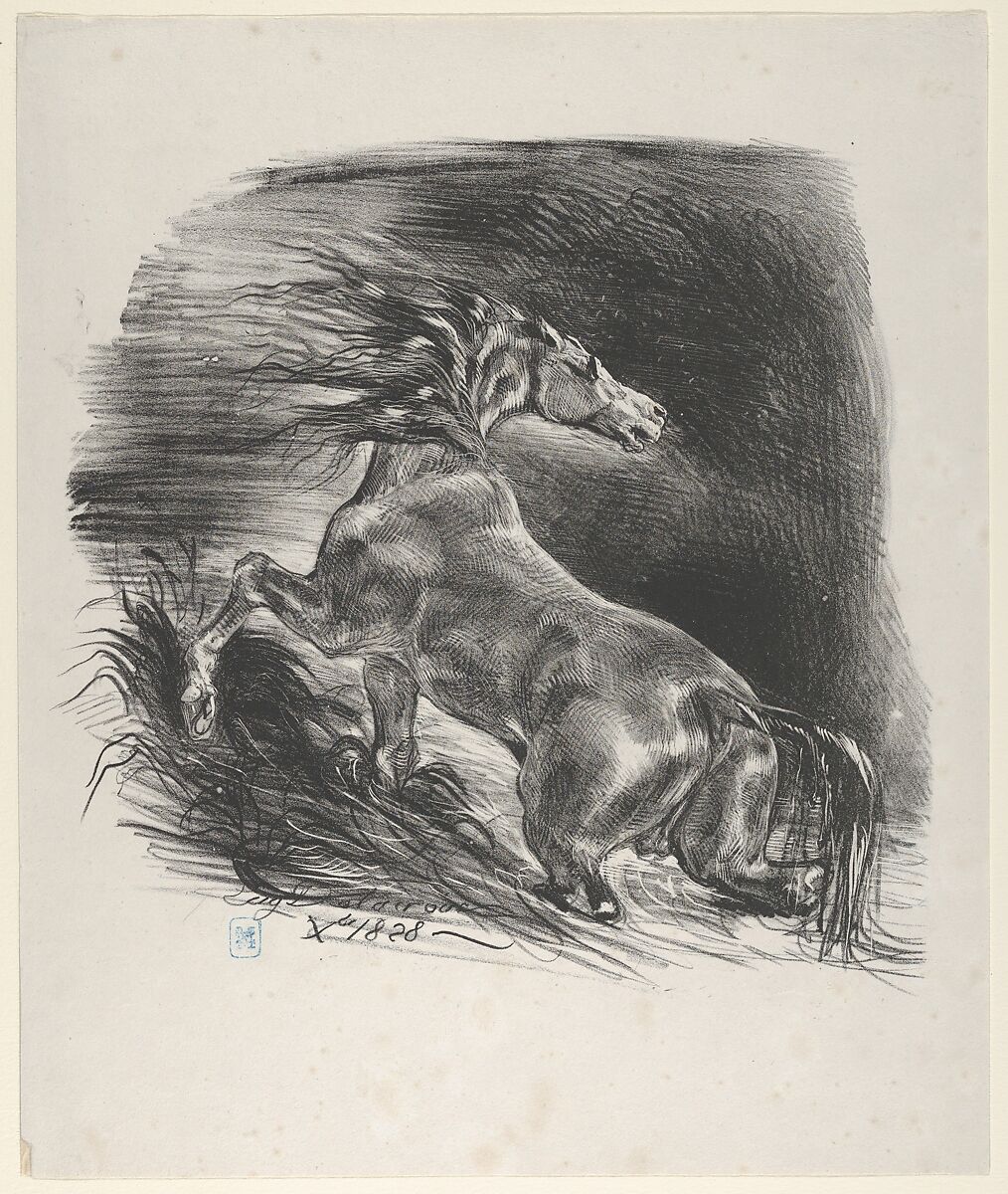 Wild Horse, Eugène Delacroix (French, Charenton-Saint-Maurice 1798–1863 Paris), Lithograph; first state of two 