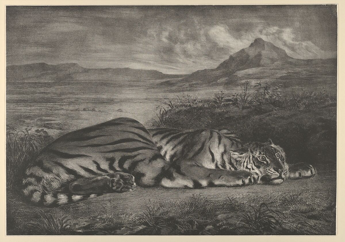 Royal Tiger, Eugène Delacroix (French, Charenton-Saint-Maurice 1798–1863 Paris), Lithograph; second state of four 