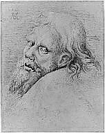 Head of a Bearded Man, Hans Hoffmann (German, Nuremberg ca. 1545/1550–1591/1592 Prague), Pen and orange-brown ink, brush and brown and black washes, heightened with white