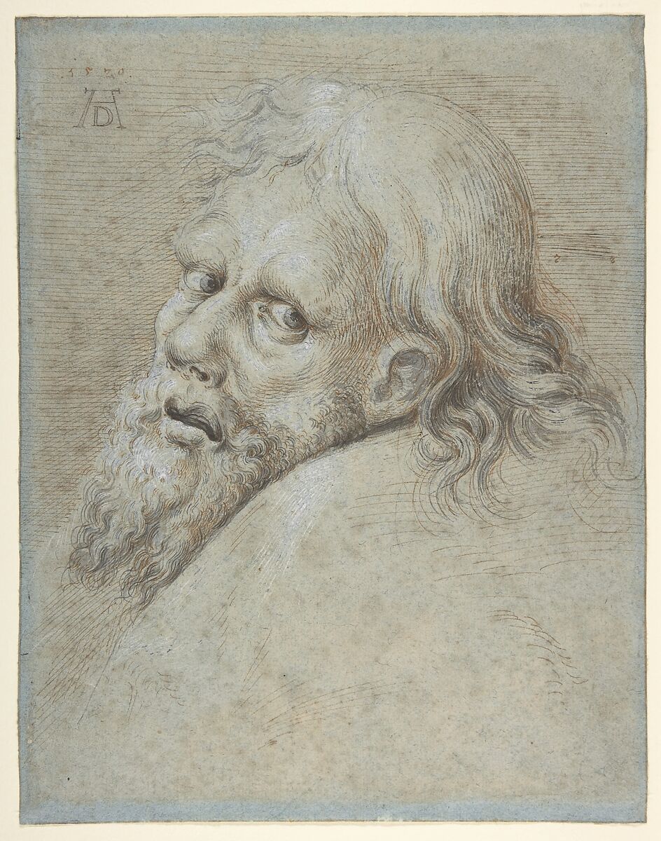 Head of a Bearded Man, Hans Hoffmann (German, Nuremberg ca. 1545/1550–1591/1592 Prague), Pen and orange-brown ink, brush and brown and black washes, heightened with white 