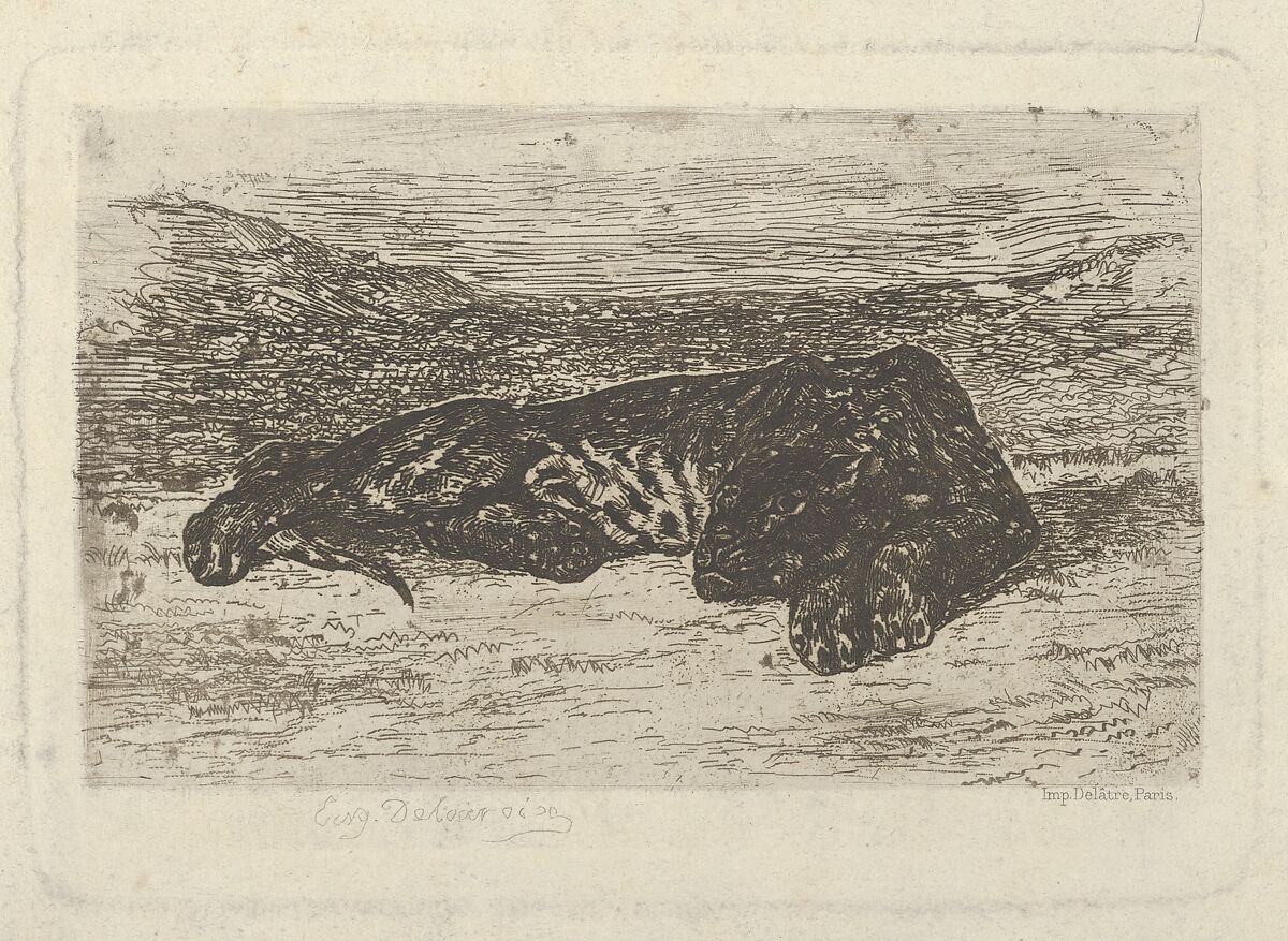 Tiger Lying in the Desert, Eugène Delacroix (French, Charenton-Saint-Maurice 1798–1863 Paris), Etching, roulette, bitten tone, drypoint; sixth state 