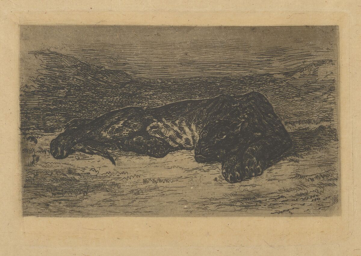 Tiger Lying in the Desert, Eugène Delacroix (French, Charenton-Saint-Maurice 1798–1863 Paris), Etching, roulette, bitten tone, and drypoint on thin laid beige tracing paper; third state of six 