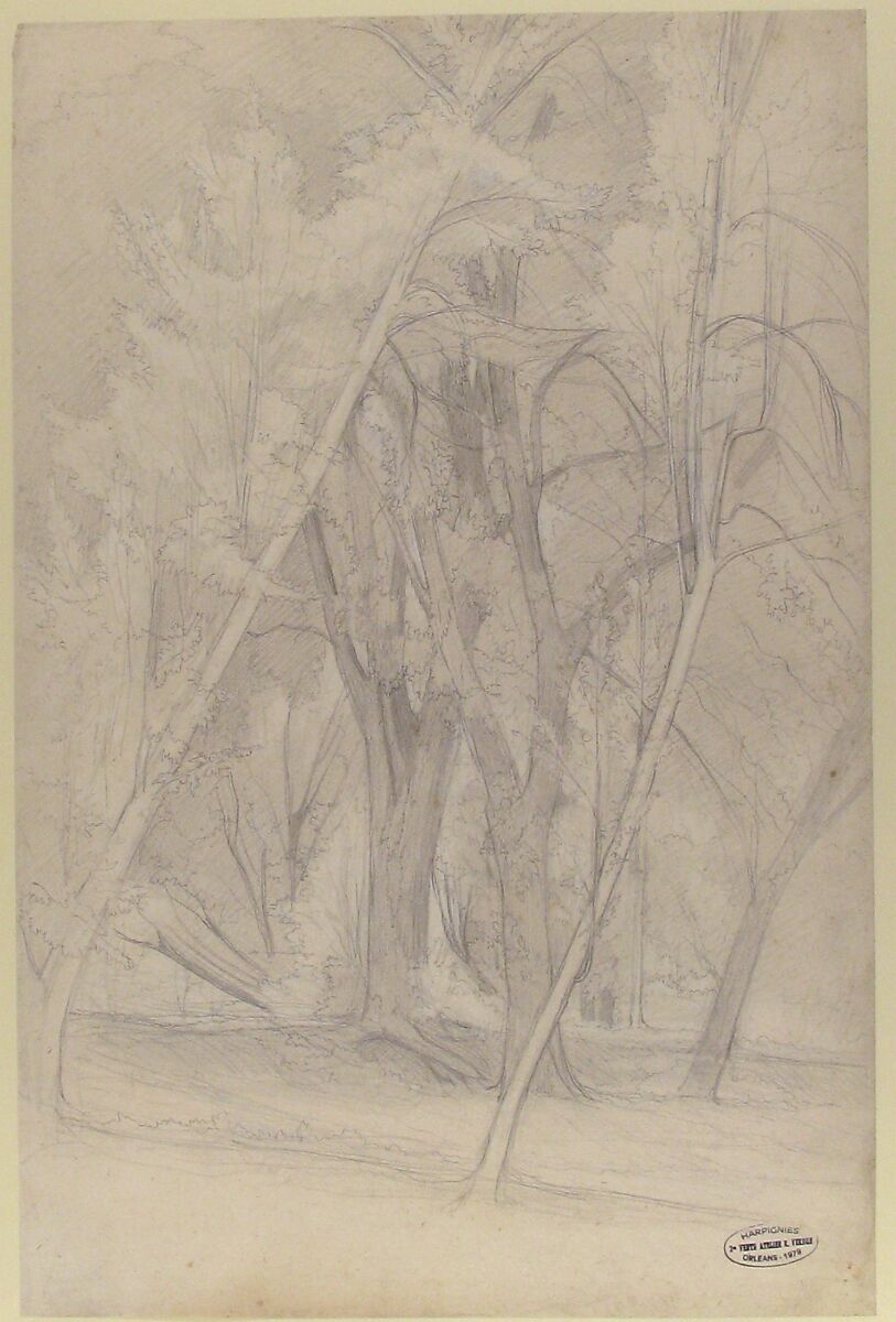 Forest Interior, Henri-Joseph Harpignies (French, Valenciennes 1819–1916 Saint-Privé), Graphite