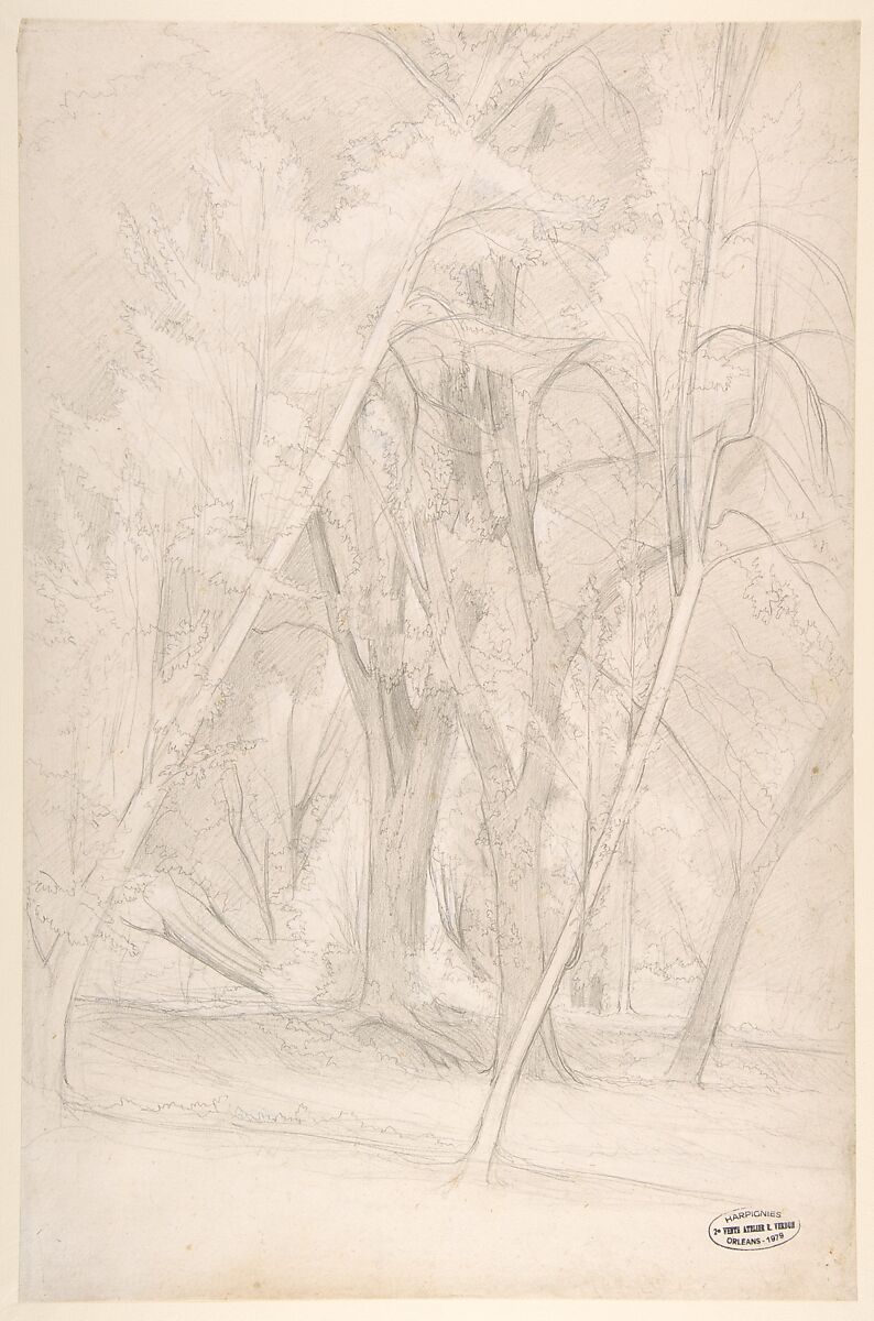 Forest Interior, Henri-Joseph Harpignies (French, Valenciennes 1819–1916 Saint-Privé), Graphite 