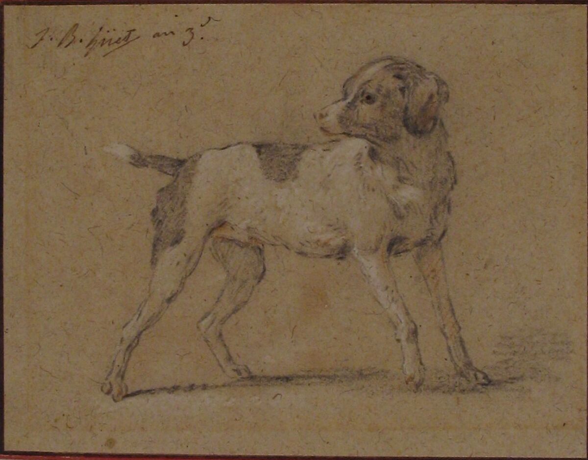 Black and White Dog, Head Turned to the Left, Jean-Baptiste Huet I (French, Paris 1745–1811 Paris), Graphite, heightened with white chalk, orange chalk, on brown paper