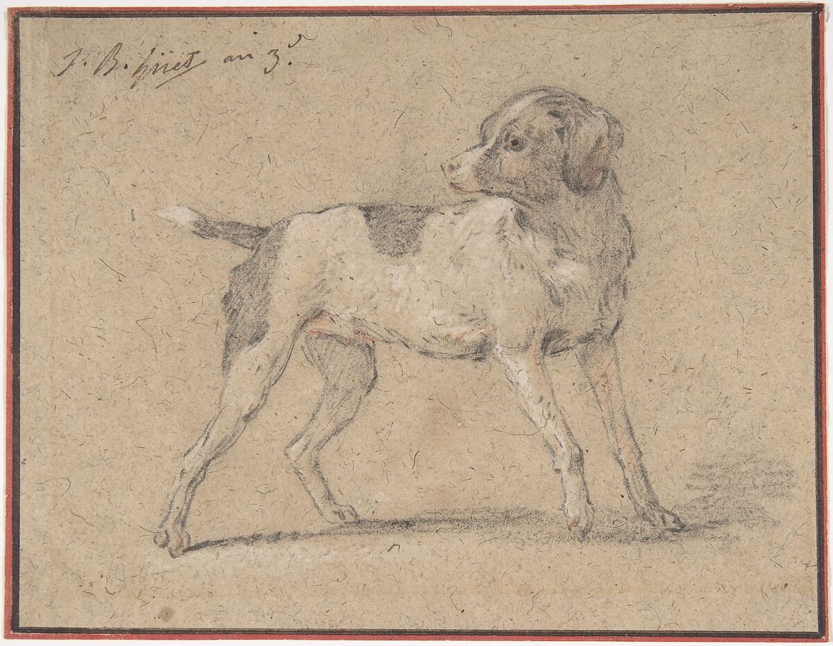 Black and White Dog, Head Turned to the Left, Jean-Baptiste Huet I (French, Paris 1745–1811 Paris), Graphite, heightened with white chalk, orange chalk, on brown paper 