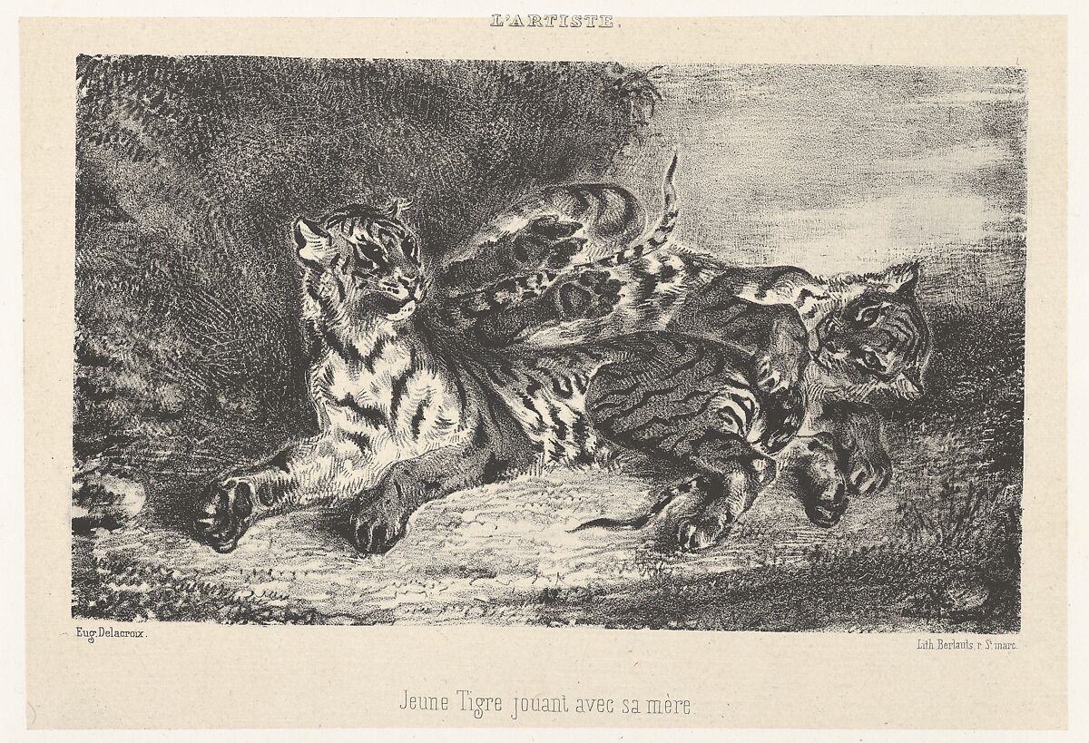 Young Tiger Playing with Its Mother, from "L'Artiste", Eugène Delacroix (French, Charenton-Saint-Maurice 1798–1863 Paris), Lithograph on chine collé; third state of six 