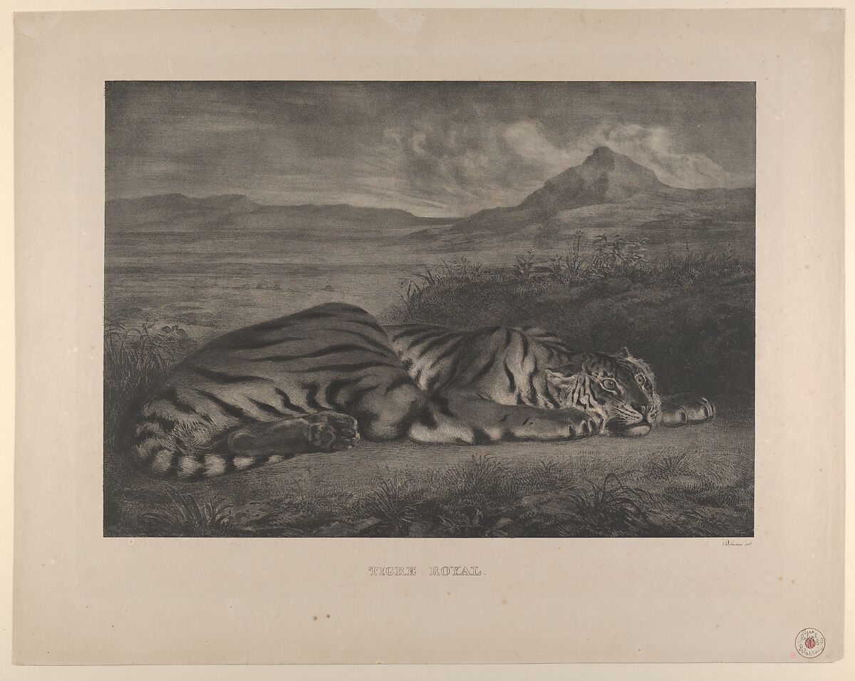 Royal Tiger, Eugène Delacroix (French, Charenton-Saint-Maurice 1798–1863 Paris), Lithograph; between second and third states 