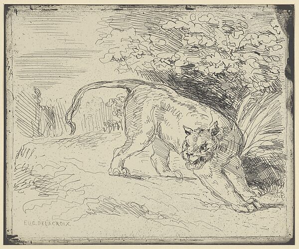 Tiger at a Standstill, Eugène Delacroix (French, Charenton-Saint-Maurice 1798–1863 Paris), Cliché verre; second state; posthumous impression 