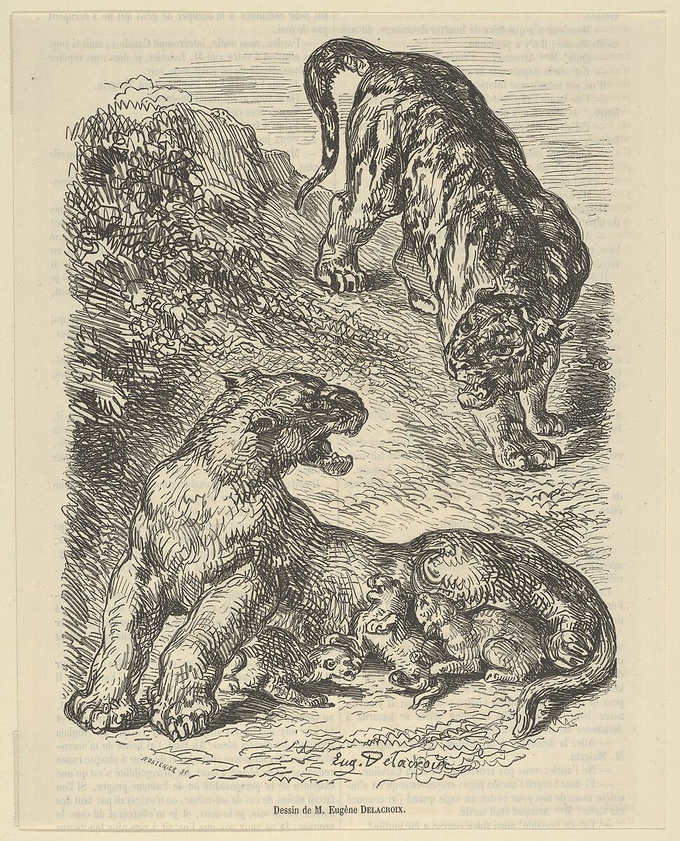 Tigress Attacked by a Tiger While Nursing her Young, from "Le Magasin Pittoresque", Eugène Delacroix (French, Charenton-Saint-Maurice 1798–1863 Paris), Wood engraving; second and final state 