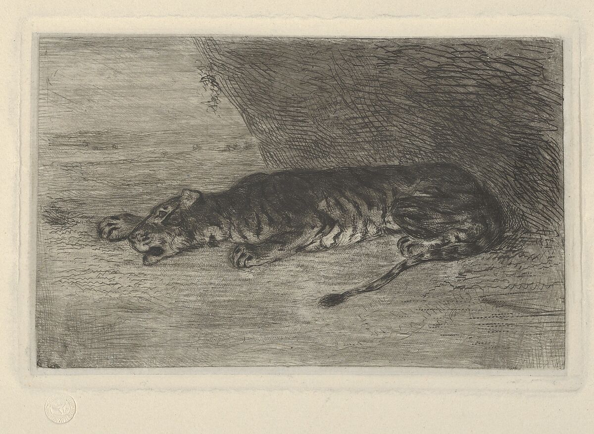 Tiger Lying at the Entrance of its Lair, Eugène Delacroix (French, Charenton-Saint-Maurice 1798–1863 Paris), Etching, drypoint, roulette; between fourth, fifth and sixth states 