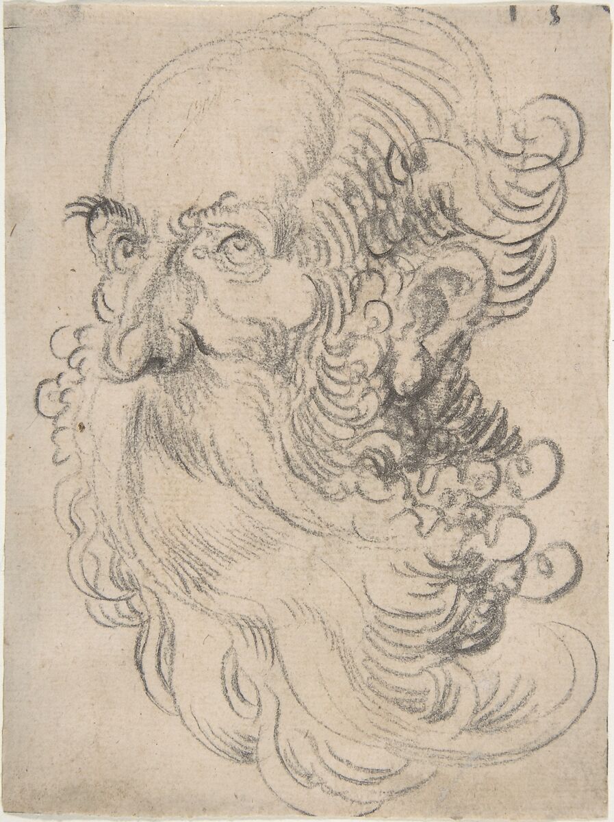 Head of a Bearded Old Man, Attributed to Wolfgang Huber (German, Feldkirch/Vorarlberg ca. 1485/90–1553 Passau), Black chalk. Tacked down to paper mount. 