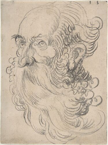 Head of a Bearded Old Man