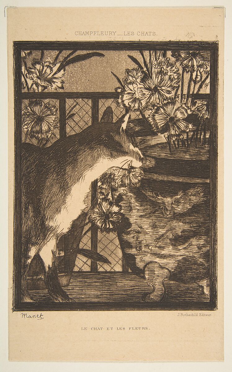 Cat and Flowers, from "Les Chats", Edouard Manet  French, Etching and aquatint in brown ink on tan wove paper, final state of three, third edition (Mégnin)