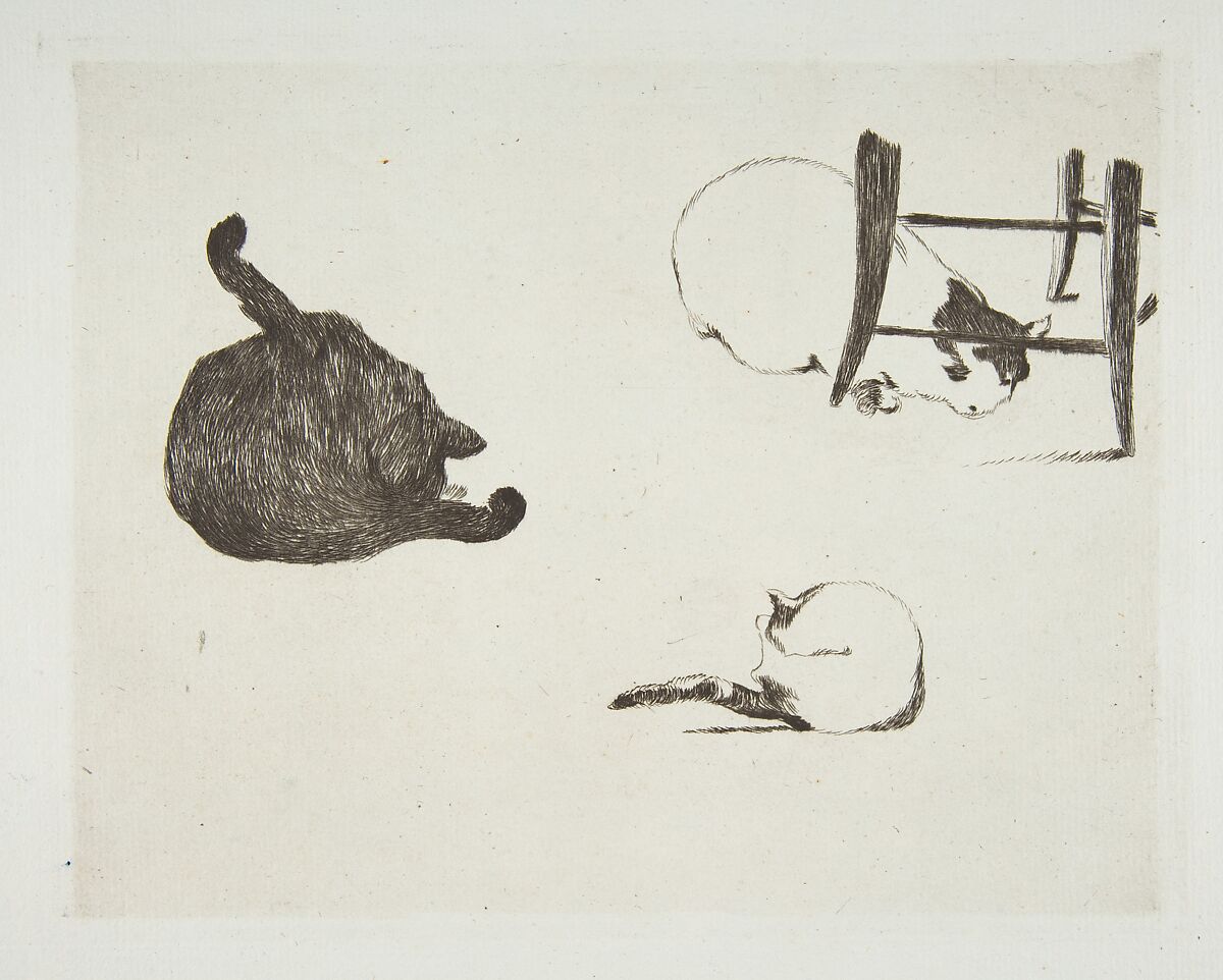 Cats, Edouard Manet (French, Paris 1832–1883 Paris), Etching on blue laid paper, only state 