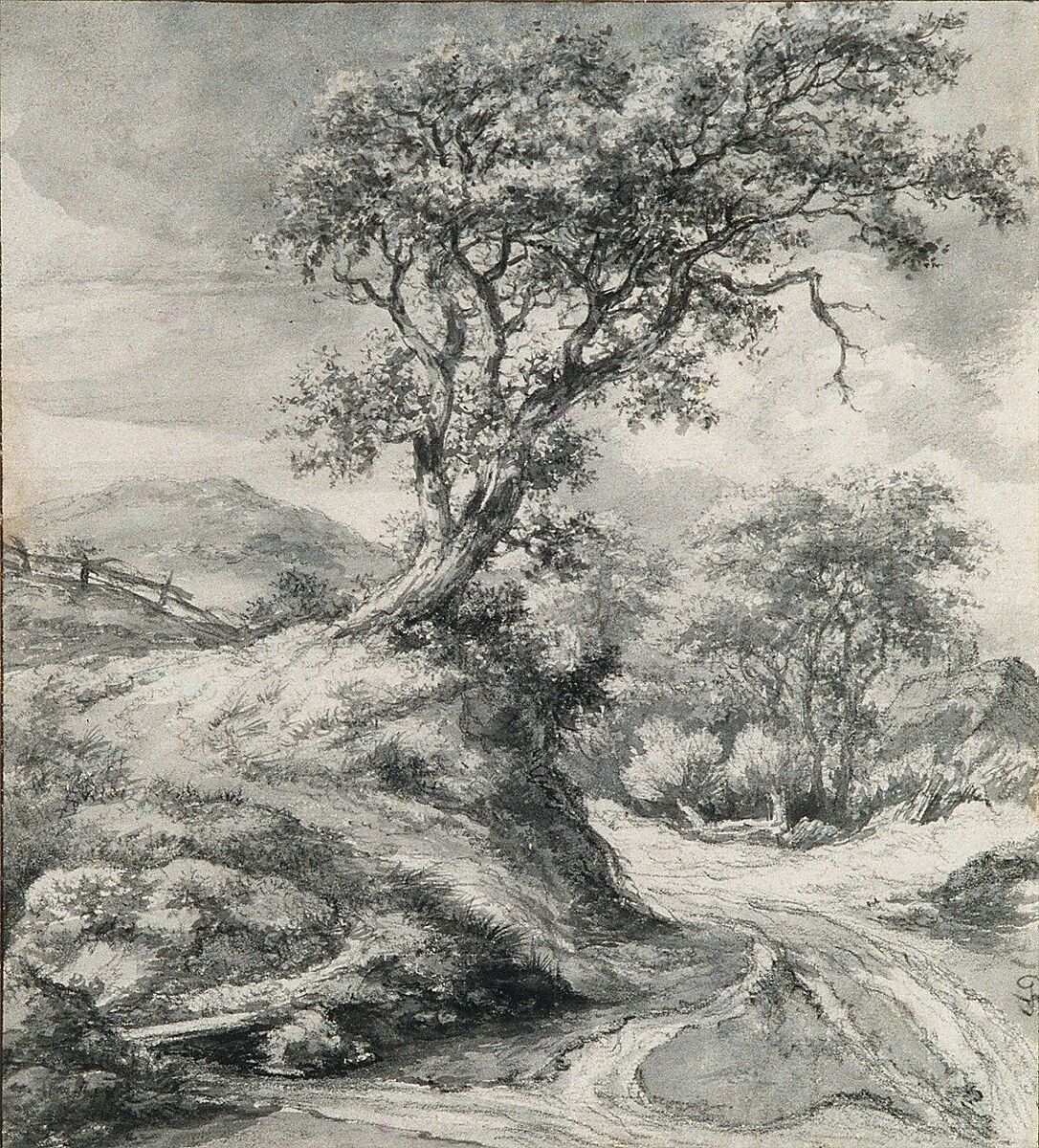 Dune Landscape with Oak Tree, Jacob van Ruisdael (Dutch, Haarlem 1628/29–1682 Amsterdam), Black chalk, brush and gray wash, and gouache; framing lines in pen and brown ink