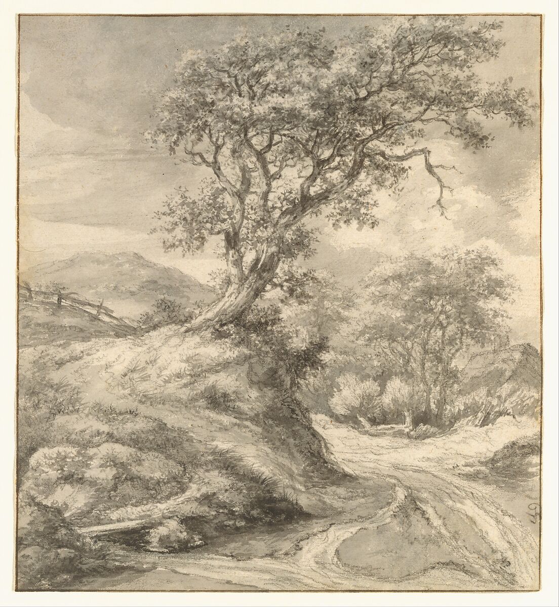 Dune Landscape with Oak Tree, Jacob van Ruisdael (Dutch, Haarlem 1628/29–1682 Amsterdam), Black chalk, brush and gray wash, and gouache; framing lines in pen and brown ink