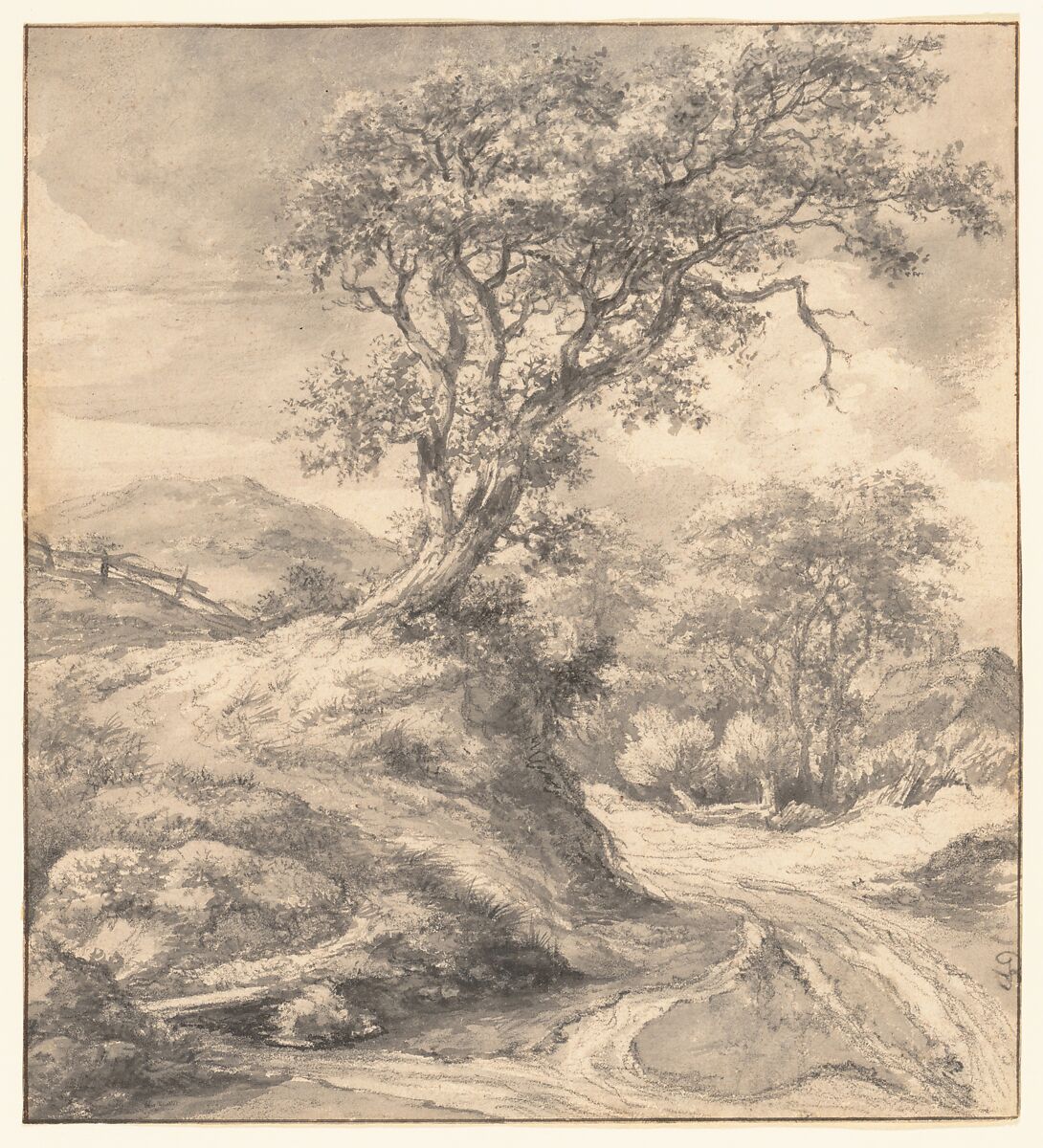 Dune Landscape with Oak Tree, Jacob van Ruisdael (Dutch, Haarlem 1628/29–1682 Amsterdam), Black chalk, brush and gray wash, and gouache; framing lines in pen and brown ink