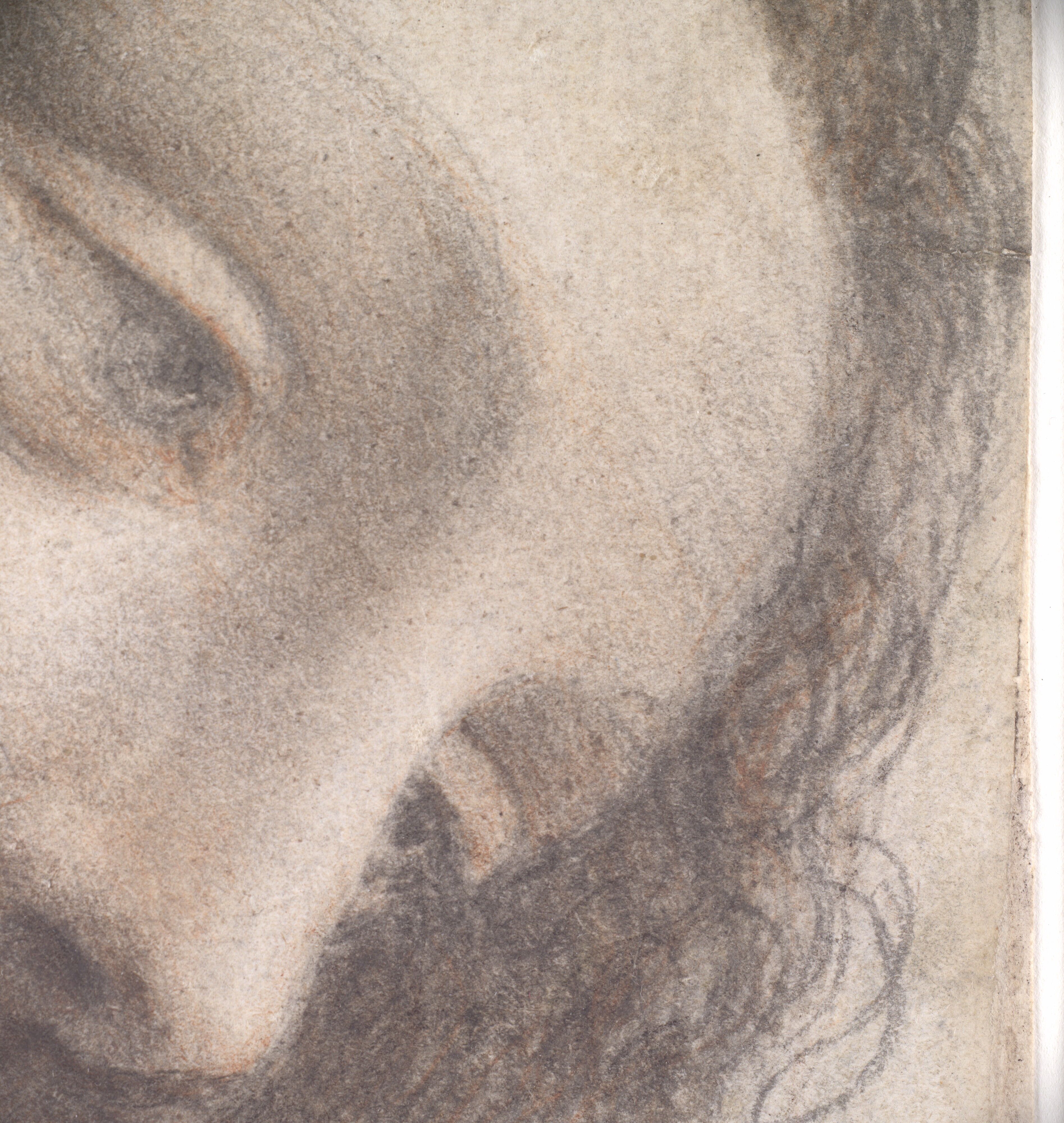 レオナルドダヴィンチ　シルク　スカーフ　Leonardo da Vinci 絵画 source