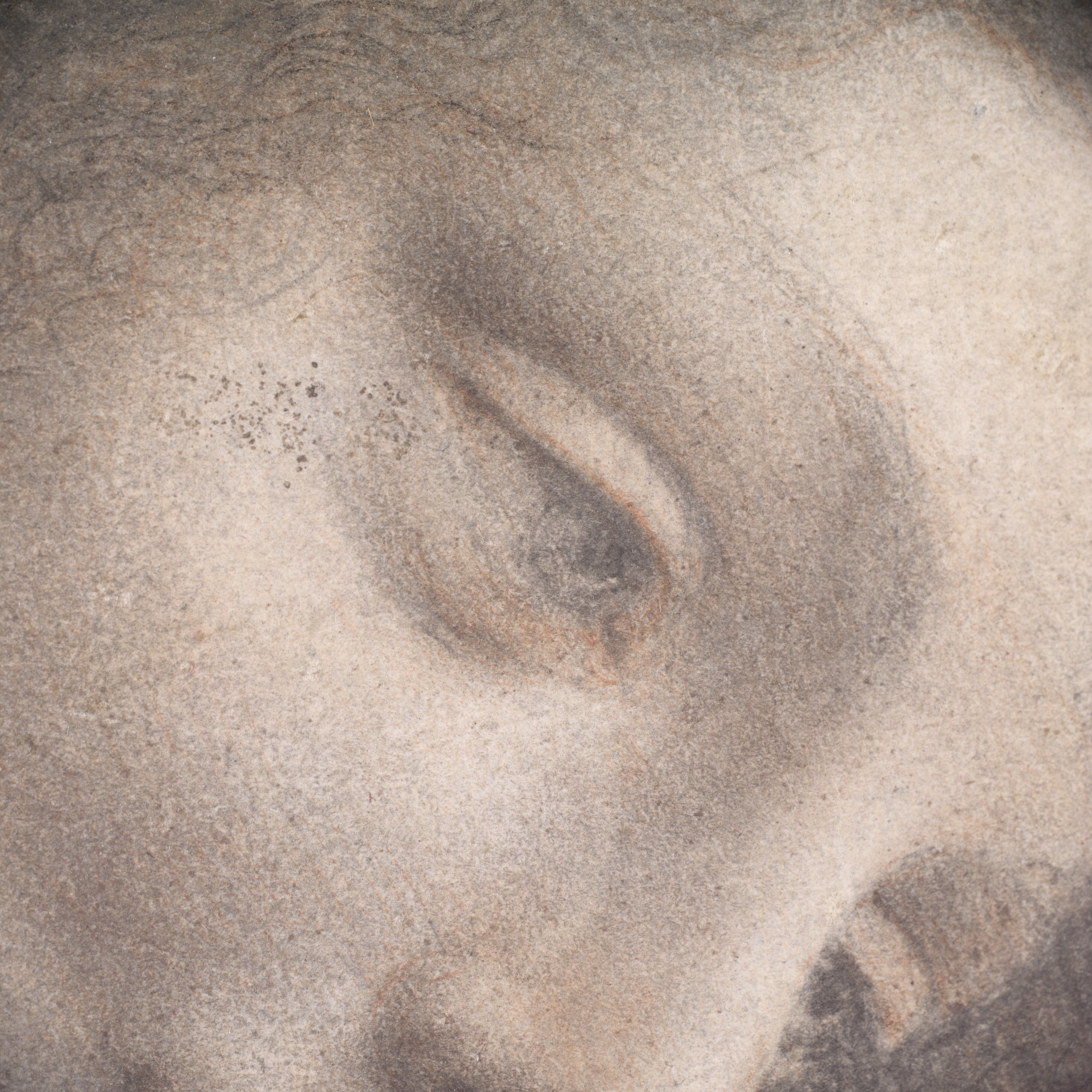 Leonardo da Vinci - The Head of the Virgin in Three-Quarter View