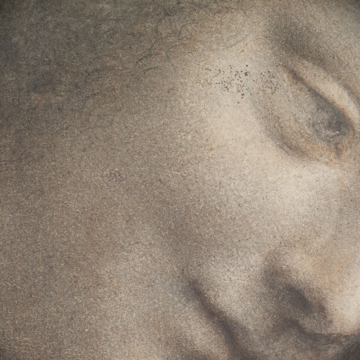 The Head of the Virgin in Three-Quarter View Facing Right, Leonardo da Vinci (Italian, Vinci 1452–1519 Amboise), Black chalk, charcoal, and red chalk, with some traces of white chalk (?); some remains of framing lines in pen and brown ink at upper right (not by Leonardo)