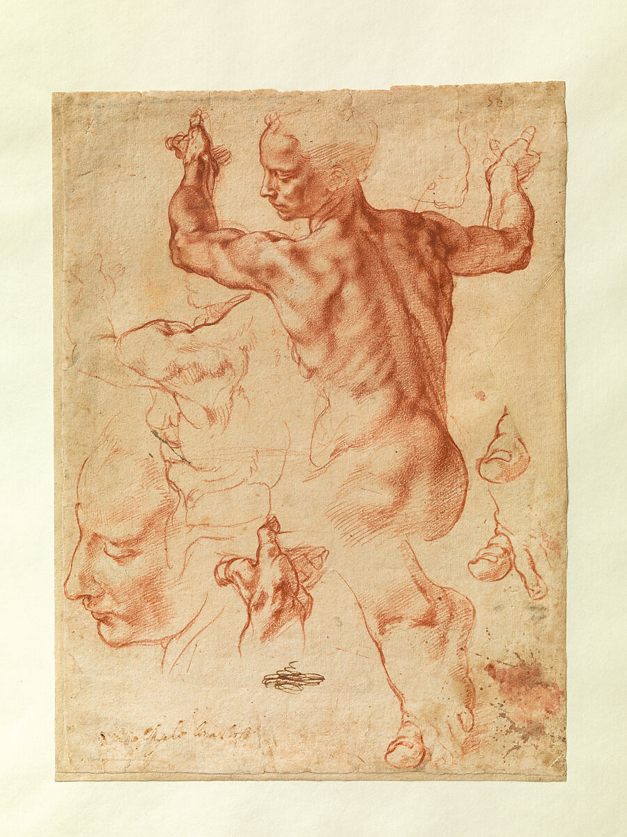 Studies for the Libyan Sibyl (recto); Studies for the Libyan Sibyl and a small Sketch for a Seated Figure (verso), Michelangelo Buonarroti (Italian, Caprese 1475–1564 Rome), Red chalk, with small accents of white chalk on the left shoulder of the figure in the main study (recto); soft black chalk, or less probably charcoal (verso)