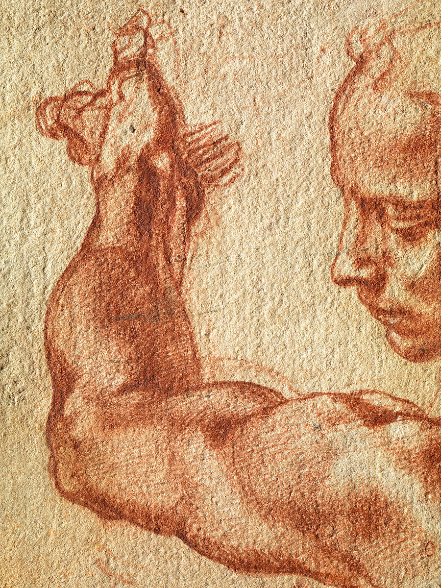 Studies for the Libyan Sibyl (recto); Studies for the Libyan Sibyl and a small Sketch for a Seated Figure (verso), Michelangelo Buonarroti (Italian, Caprese 1475–1564 Rome), Red chalk, with small accents of white chalk on the left shoulder of the figure in the main study (recto); soft black chalk, or less probably charcoal (verso)