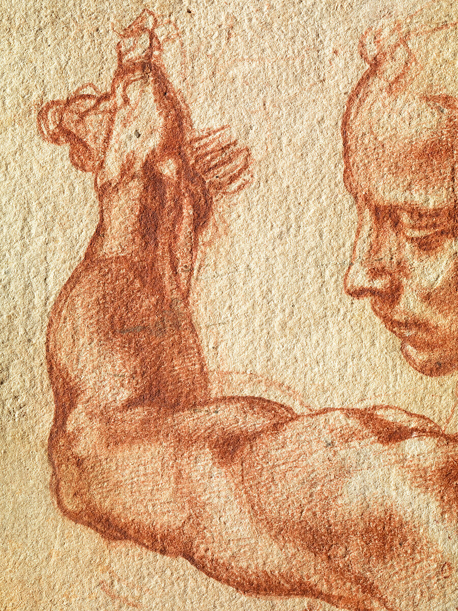Studies for the Libyan Sibyl (recto); Studies for the Libyan Sibyl and a small Sketch for a Seated Figure (verso), Michelangelo Buonarroti (Italian, Caprese 1475–1564 Rome), Red chalk, with small accents of white chalk on the left shoulder of the figure in the main study (recto); soft black chalk, or less probably charcoal (verso)