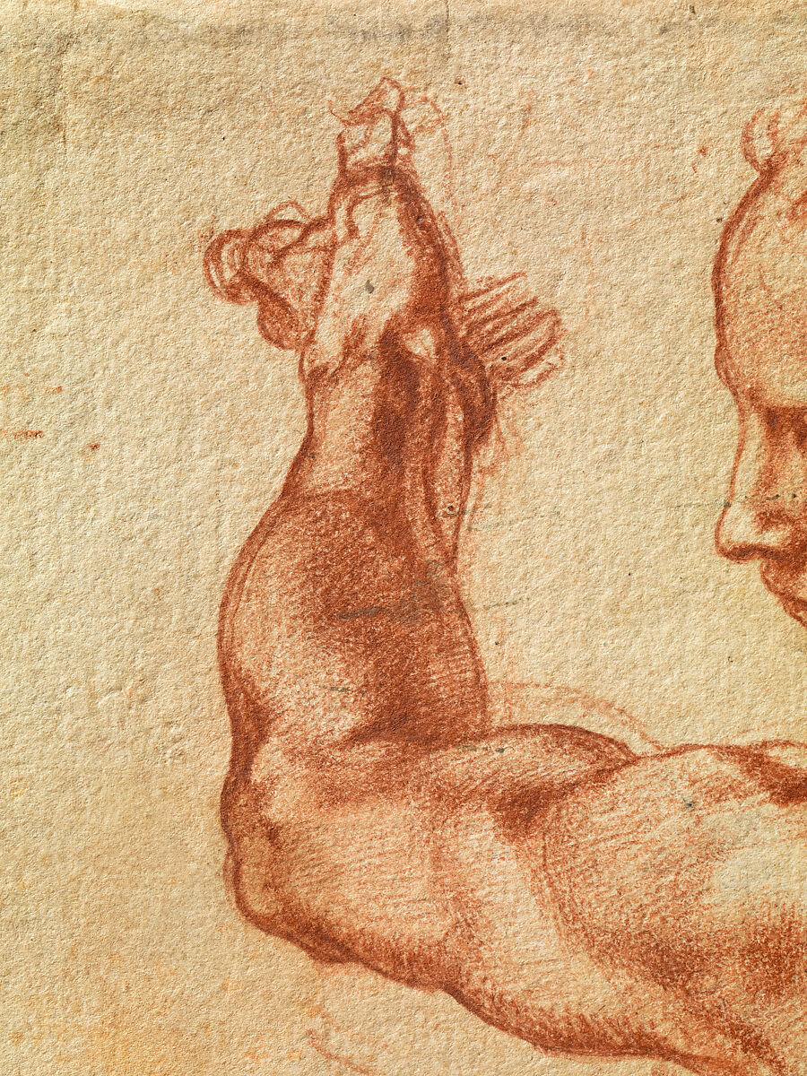 Studies for the Libyan Sibyl (recto); Studies for the Libyan Sibyl and a small Sketch for a Seated Figure (verso), Michelangelo Buonarroti (Italian, Caprese 1475–1564 Rome), Red chalk, with small accents of white chalk on the left shoulder of the figure in the main study (recto); soft black chalk, or less probably charcoal (verso)