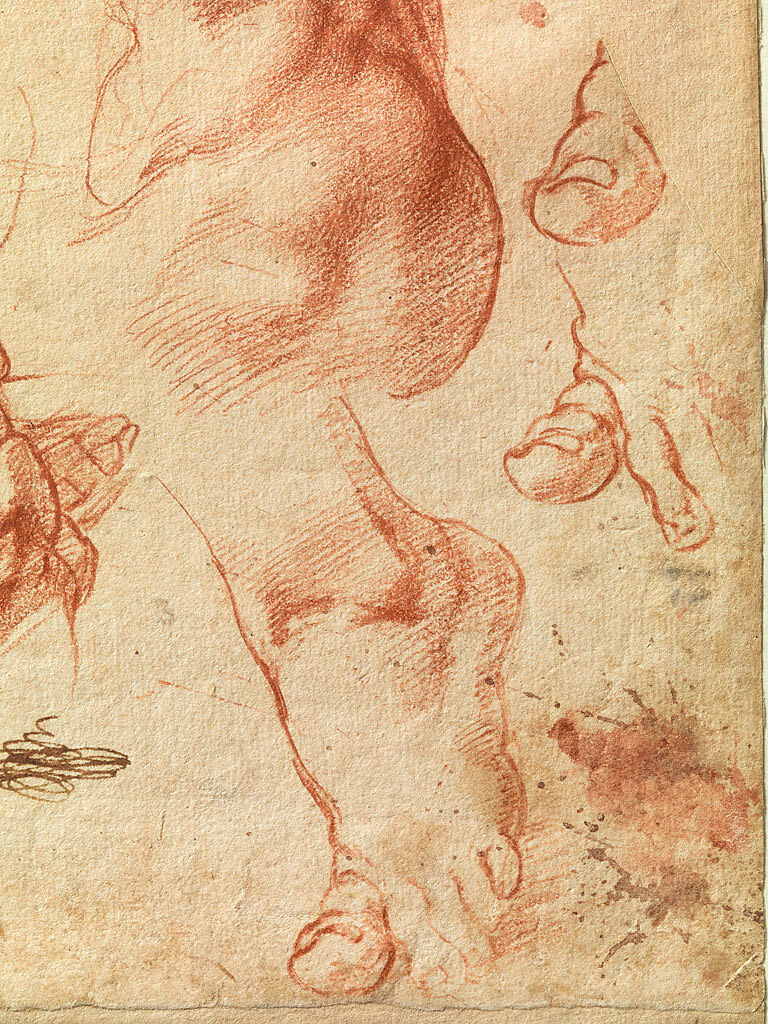Studies for the Libyan Sibyl (recto); Studies for the Libyan Sibyl and a small Sketch for a Seated Figure (verso), Michelangelo Buonarroti (Italian, Caprese 1475–1564 Rome), Red chalk, with small accents of white chalk on the left shoulder of the figure in the main study (recto); soft black chalk, or less probably charcoal (verso)