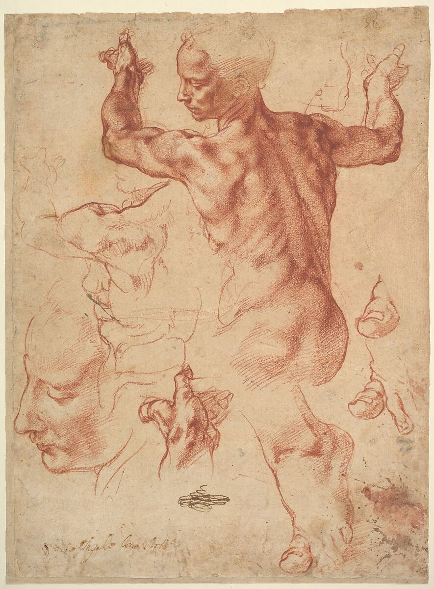 Studies for the Libyan Sibyl (recto); Studies for the Libyan Sibyl and a small Sketch for a Seated Figure (verso), Michelangelo Buonarroti  Italian, Red chalk, with small accents of white chalk on the left shoulder of the figure in the main study (recto); soft black chalk, or less probably charcoal (verso)