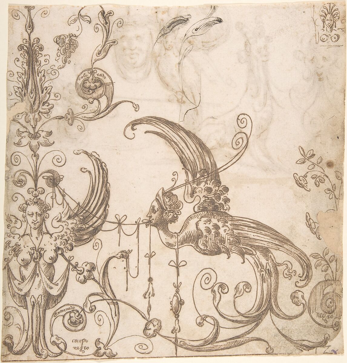 Female grotesque and harpy (recto); fantastical creatures and masks (verso), ? attributed to Andrés de Melgar (Spanish, documented S. Domingo de la Calzada, died after 1554), Pen and brown ink 