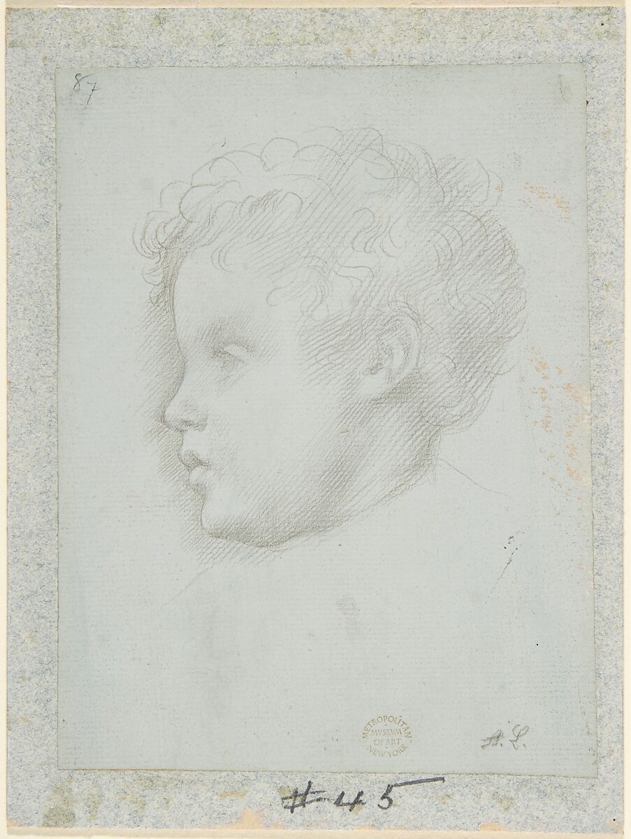 Study of a Head, Alphonse Legros (French, Dijon 1837–1911 Watford, Hertfordshire), Graphite on gray paper 