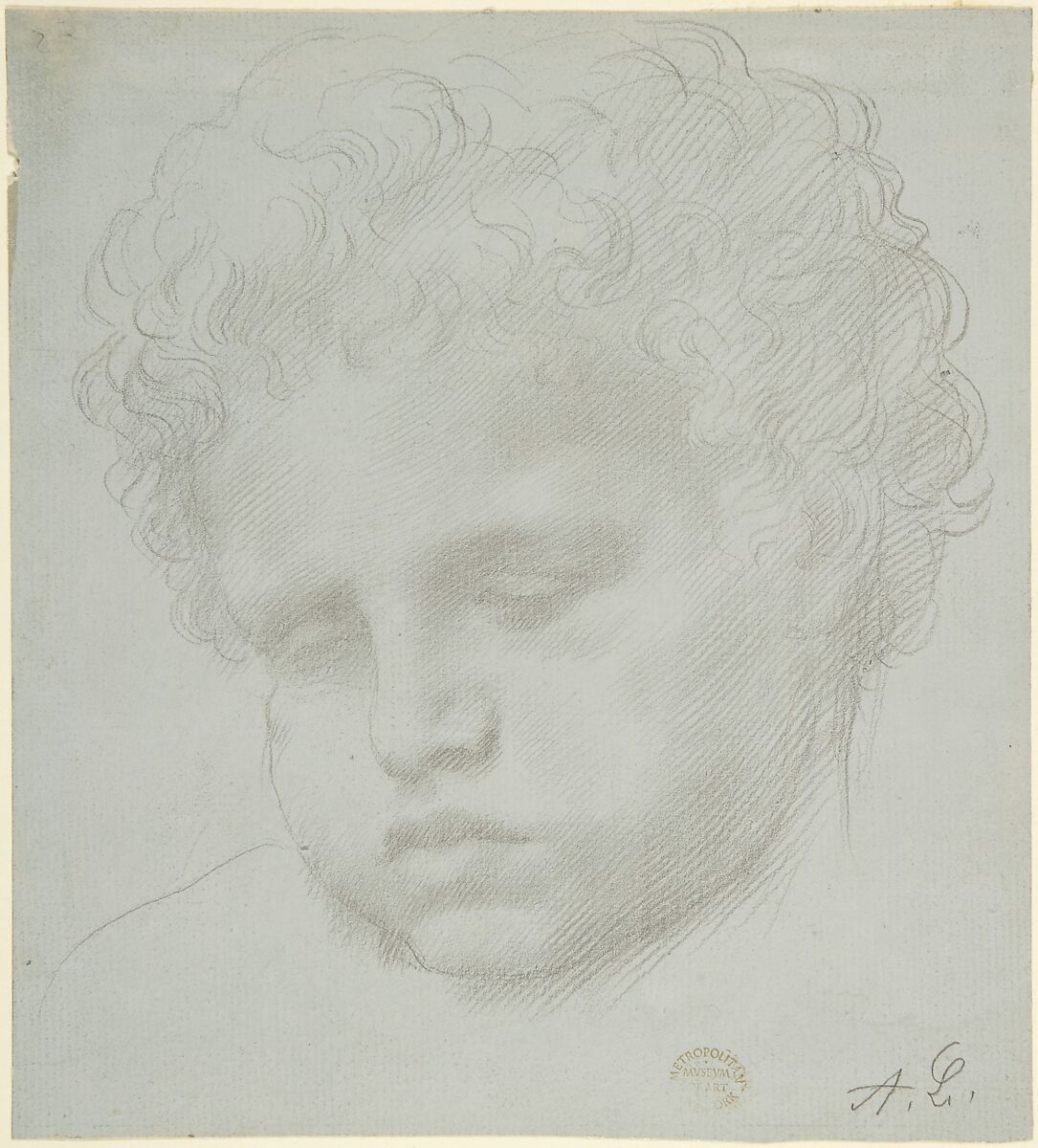 Study of a Head, Alphonse Legros (French, Dijon 1837–1911 Watford, Hertfordshire), Graphite on gray paper 
