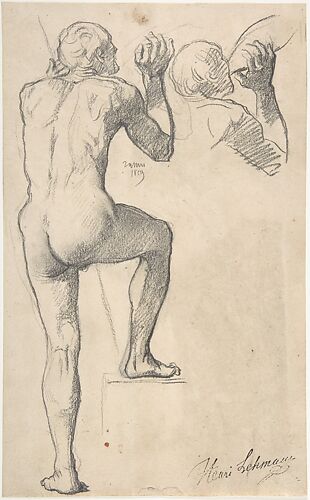 Back View of a Male Nude