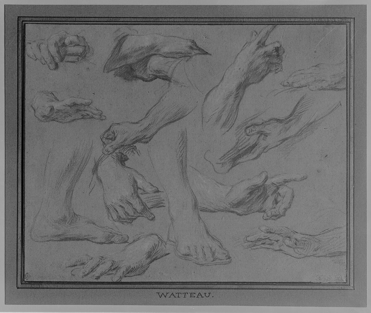 Studies of Hands and Feet, François Le Moyne (French, Paris 1688–1737 Paris), Red and black chalk, heightened with white, on beige paper. Framing lines in pen and brown ink. Lined.