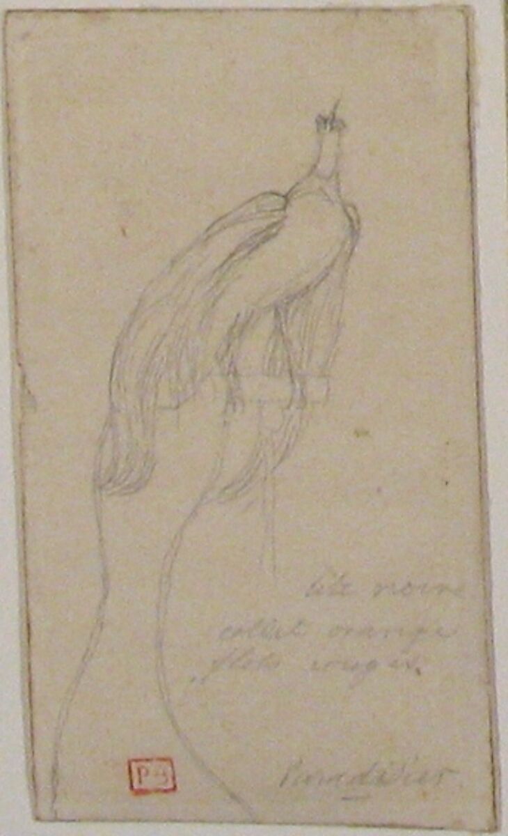 A Bird of Paradise, Charles Meryon (French, 1821–1868), Graphite