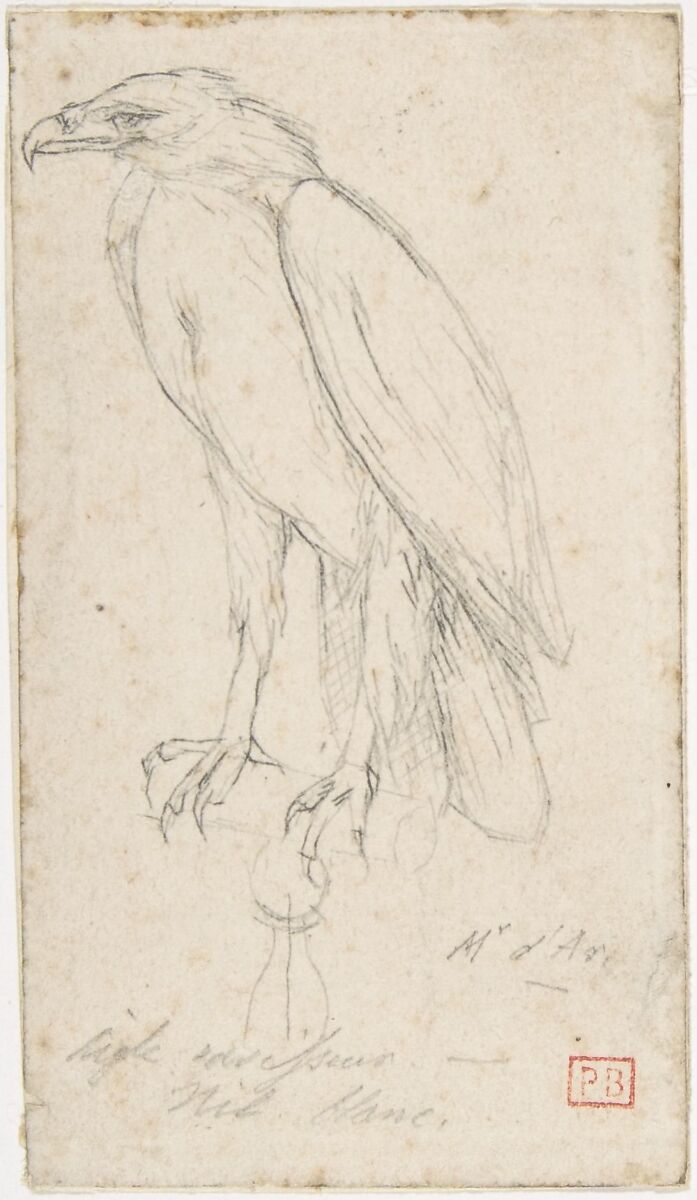 A Golden Eagle, Charles Meryon (French, 1821–1868), Graphite 