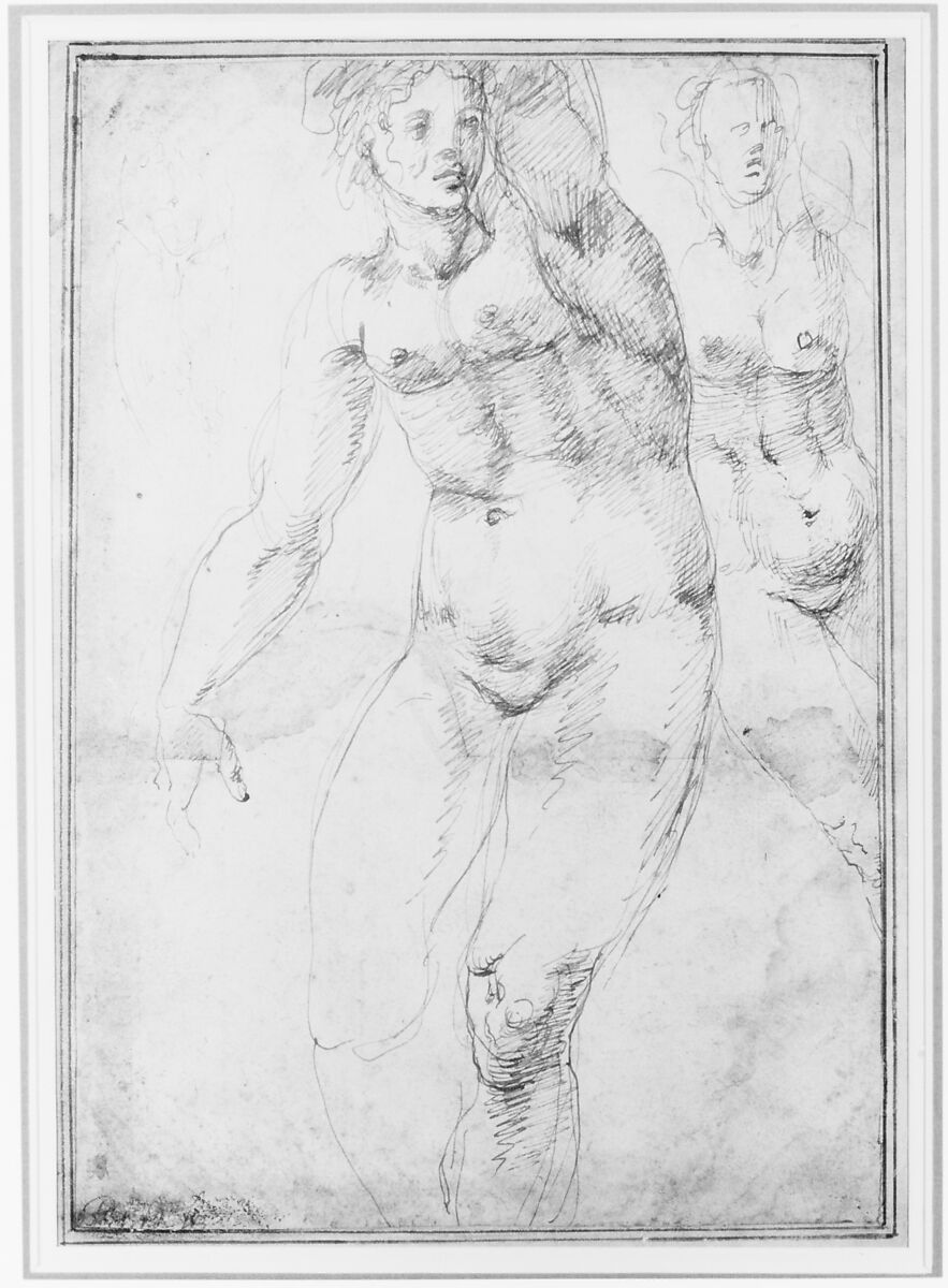 Studies for a Nude Woman Seen from the Front (recto); Four Standing Male Nudes, Venus, and Cupid (verso), Anonymous, Italian, Florentine, 16th century, Pen and brown ink 