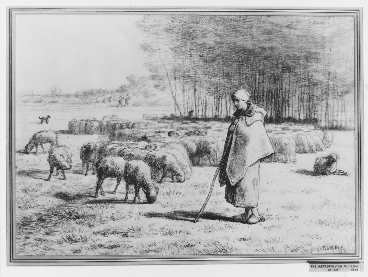 A Shepherdess with Her Flock, Jean-François Millet (French, Gruchy 1814–1875 Barbizon), Conté crayon with stumping on laid paper