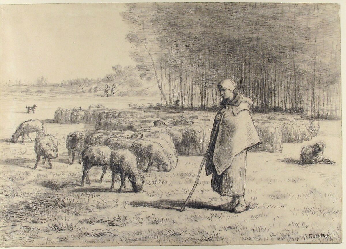 A Shepherdess with Her Flock, Jean-François Millet (French, Gruchy 1814–1875 Barbizon), Conté crayon with stumping on laid paper